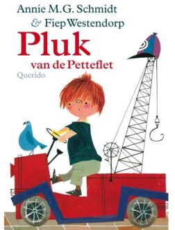 Pluk van de Petteflet - Boek Annie M.G. Schmidt (9045110954)
