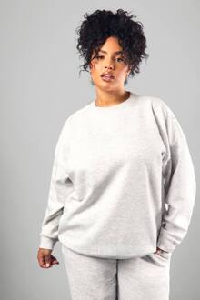 Plus Dsgn Studio Geborduurde Oversized Sweatshirt, Ash Grey - 50