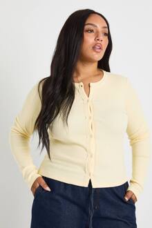 Plus Rib Top Met Lange Mouwen, Voorzien Van Een Kantenbeslijpt Detail En Instoopknopen, Butter - 54