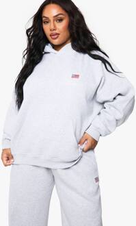 Plus Usa-Vlak Geborduurde Oversized Hoodie, Ash Grey - 46