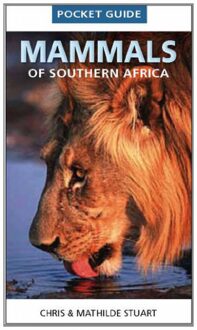 Pocket guide mammals of Southern Africa