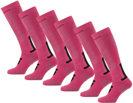 Poederbaas Skisokken 6-pack Pink-39/42 - 39/42