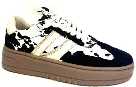 Poelman Lpanemone-49poe5 anemone Zwart - 40