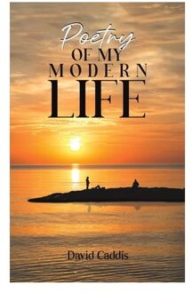 Poetry Of My Modern Life - David Caddis