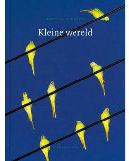 Poeziecentrum VZW Kleine Wereld - Mattijs Deraedt