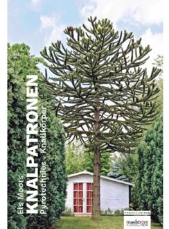 Poeziecentrum VZW Knalpatronen