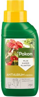 Pokon anthurium voeding 250 ml