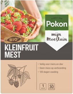 Pokon Bio Kleinfruit Voeding 1kg