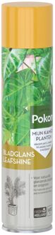 Pokon Bladglans - 600ml