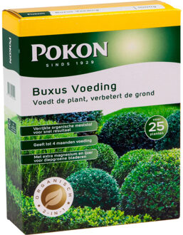 Pokon Buxus & Ilex Mest - 1kg