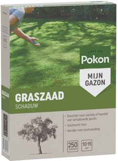 Pokon Graszaad Schaduw - Voor aanleg & herstel van gazon in de schaduw - 250gr (voor 10-15m²)