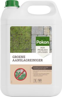 Pokon Groene Aanslagreiniger 5L - 724075