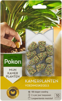 Pokon Kamerplanten Voedingskegels 10st - 724110