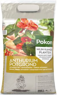 Pokon RHP Anthurium Grond - 5L