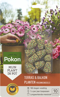 Pokon Terras & Balkon Planten Voedingskegels 10st - 724105