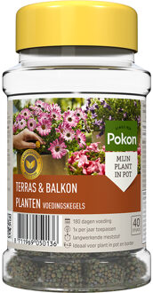 Pokon Terras & Balkon Planten Voedingskegels 40st - 724106