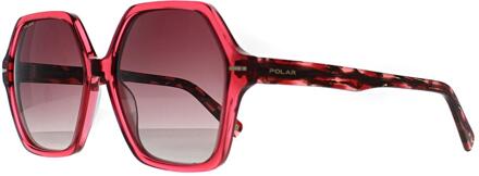 Polar Square Dames Transparant Roze Roze Gradiënt Gepolariseerd Goud 135 - One Size