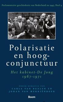 Polarisatie en hoogconjunctuur - Boek Carla van Baalen (9461055099)