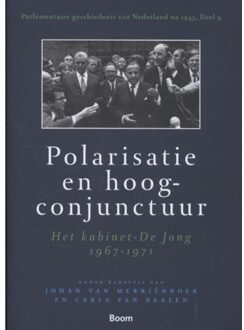 Polarisatie en hoogconjunctuur - Boek Carla van Baalen (9461055099)