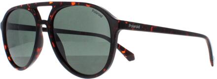 Polaroid Aviator Unisex Havana Groen Gepolariseerd PLD 4162/S Bruin - One Size