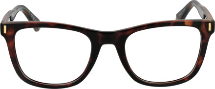 Polaroid Brilmontuur PLD D511 086 51 Bruin - One Size