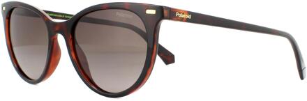 Polaroid cat eye dames havana bruine gradiënt gepolariseerde zonnebril