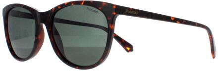 Polaroid Cat Eye Dames Havana Groen Gepolariseerd PLD 4161/S - maat Bruin