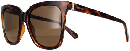 Polaroid PLD 4155/S/X 086 SP havana brons gepolariseerde zonnebril Bruin