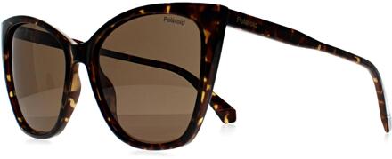 Polaroid PLD 4181/S 086 SP havana brons gepolariseerde zonnebril Bruin