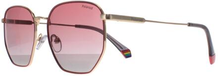 Polaroid Square Unisex Goud Roze Roze Gradient Gepolariseerd PLD 6214/S/X - maat