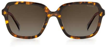 Polaroid Vierkante Frame Zonnebril Bruin - One Size