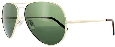 Polaroid Zonnebril 1017/s 3yg/h8 Unisex Groen Goudkleurig