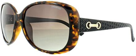 Polaroid zonnebril P8430 Bruin - 000