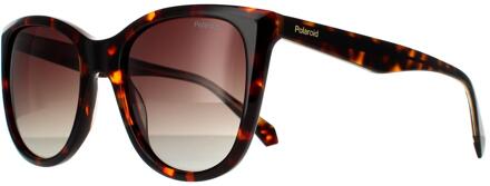 Polaroid zonnebril PLD 4096/s/x 086 LA HAVANA BRUIN BRUIN GRADIENT POLARISEERD - One Size