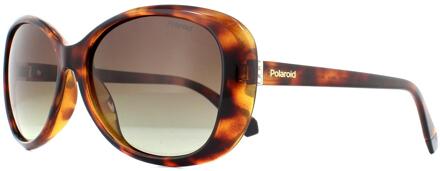 Polaroid Zonnebril Pld 4097/s 085 Dames 58 Mm Zwart/bruin