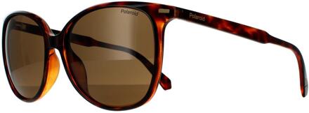 Polaroid zonnebril PLD 4125/g/s 086 SP Dark Havana Bronze Polarisatie Bruin - One Size