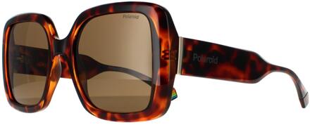 Polaroid zonnebril PLD 6168/s 086 SP Dark Havana Bronze gepolariseerd - maat Bruin