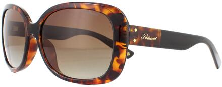 Polaroid zonnebrril PLD 4069/G/S/X bruin - 000