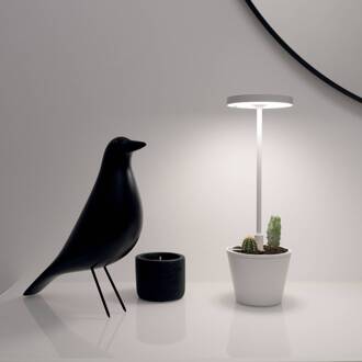 Poldina Reverso accu-tafellamp wit