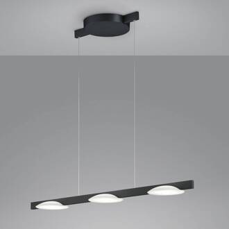 Pole LED hanglamp 3-lamps zwart zwart mat, wit gesatineerd