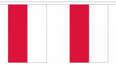 Polen landen vlaggetjes - 9 meter - slinger / vlaggenlijn - supporters - binnen/buiten Multi