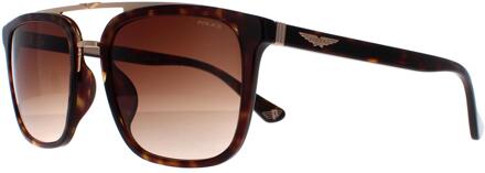 Police Politie SPLB41 Origins 35 0722 havana en goud bruin gradiënt zonnebril - One Size