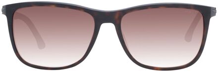 Police Spl981j Zonnebril Donker Bruin