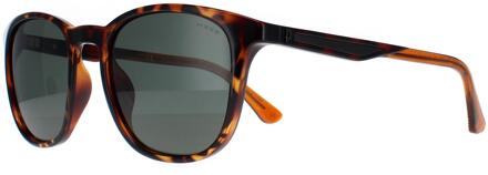 Police SPLF18E 978P lunettes de soleil polarisées vertes havane foncé brillantes Bruin