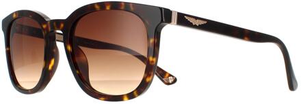 Police zonnebril SPLB42 Oorsprong 36 0722 Glanzende donkere Havana Brown Gradiënt Bruin - One Size