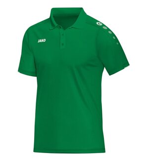 Polo Classico Sport Groen-Wit Maat 4XL