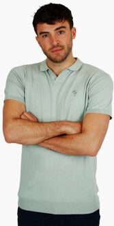 Polo shirt enter mist - maat XXXL Groen