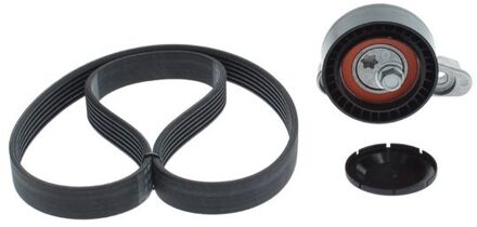 Poly V-riem set 1987600776