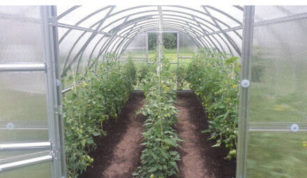 Polycarbonaat Tuinkas Baltic LT 3 x 12 Meter Black