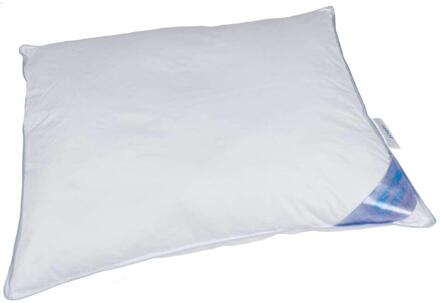 Polydaun Leen Bakker - Polydaun Hoofdkusssen Guusje - 60x70 Cm - Synthetisch - Wit